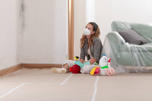 Reliable Mold Remediation contractor in Ivor, VA by WQB Mold Removal